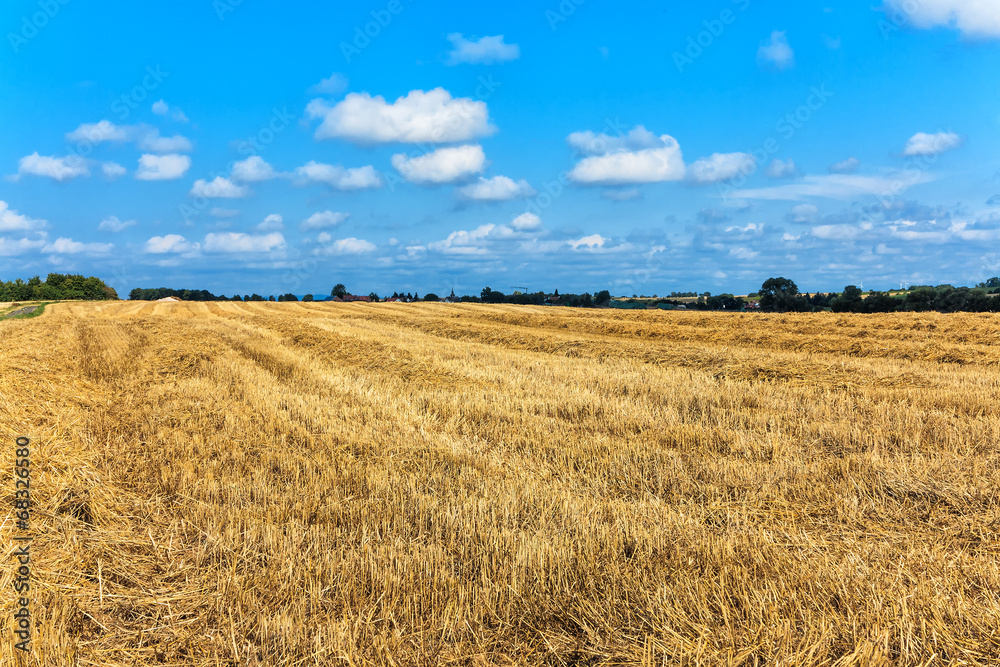 Stoppelfeld – Weizenfeld nach der Ernte