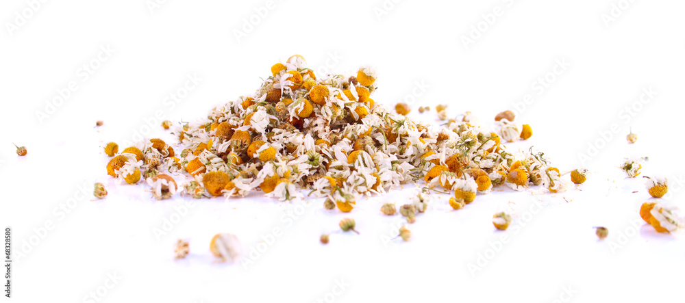 Scattered Heap of Chamomile Flower Heads