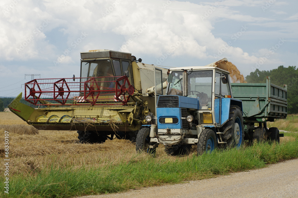 grain harvest grain harvest