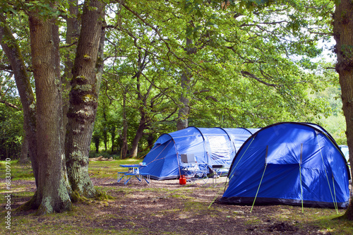 Big blue family size tents pitched in woodland camping site