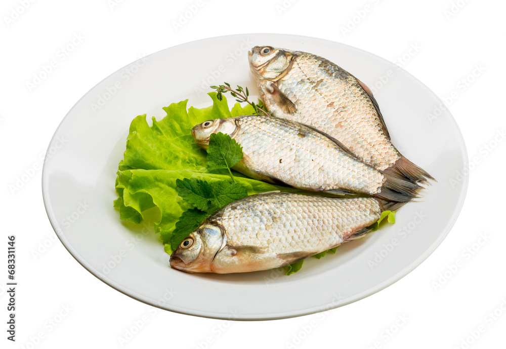 Crucian fish Crucian fish