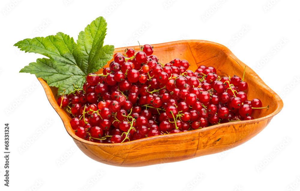 Red currant Red currant