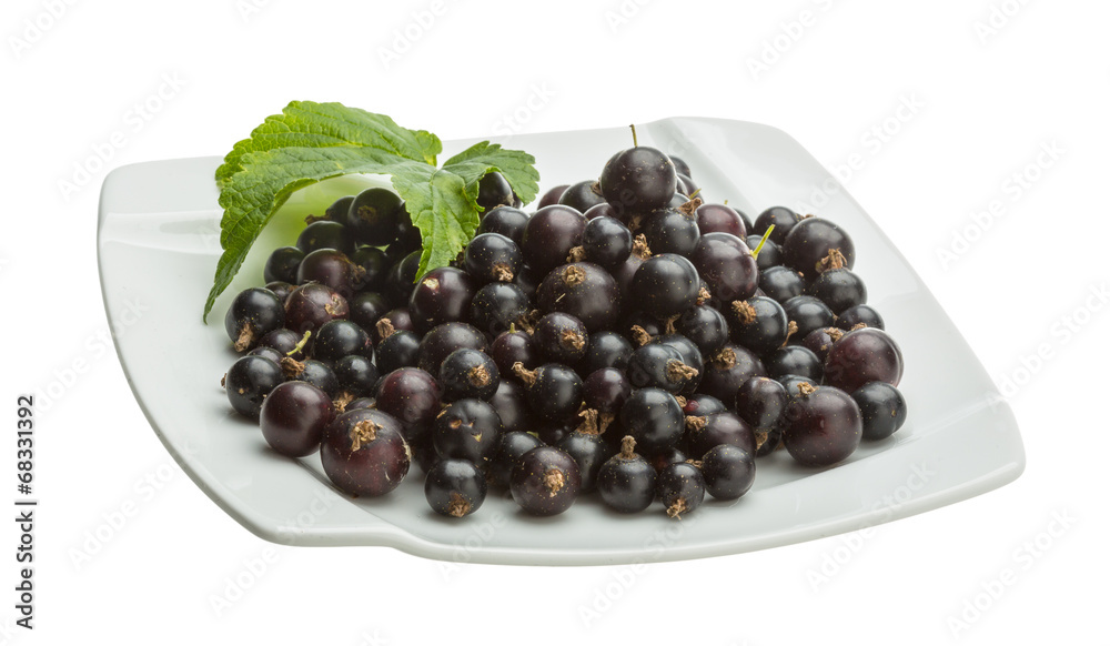 Black currant Black currant