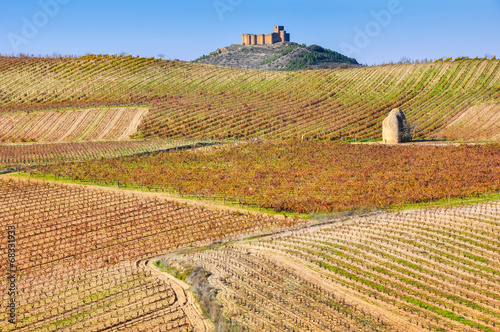 Viñedo en otoño junto al castillo de Davalillo, La Rioja photo