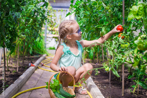 Cute little girl collects crop cucumbers and tomatos in