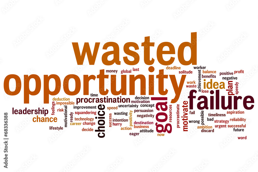Wasted opportunity word cloud