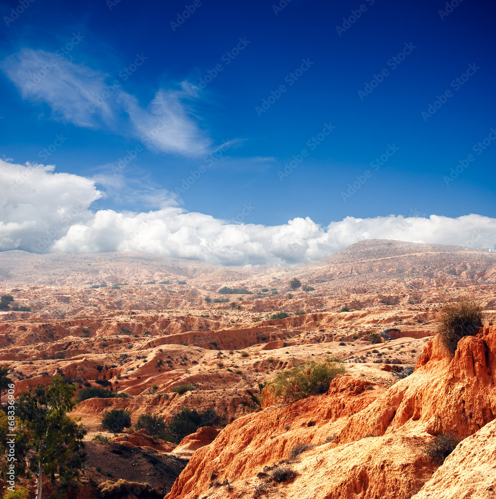 Stone desert in the Sahara - obrazy, fototapety, plakaty 