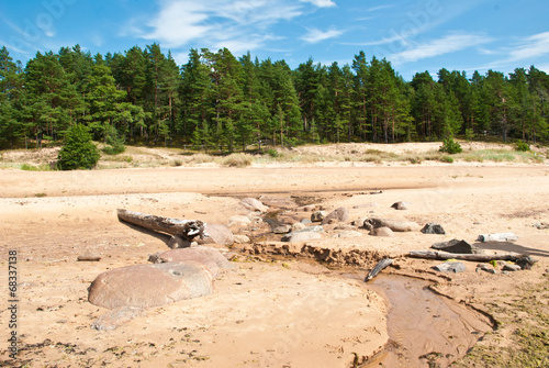 Spiaggia in Lettonia photo