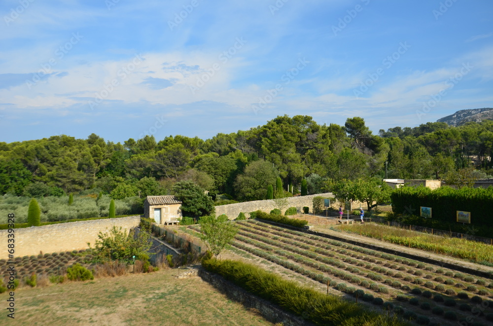 Saint-Paul de Mausole, St Remy de Provence, jardins