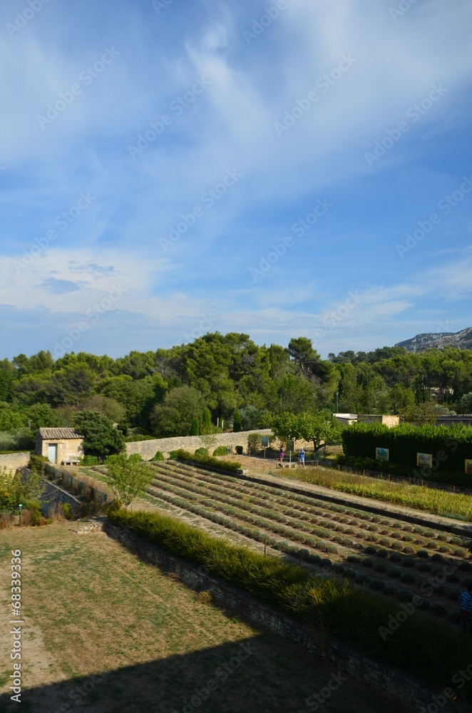 Saint-Paul de Mausole, St Remy de Provence, jardins