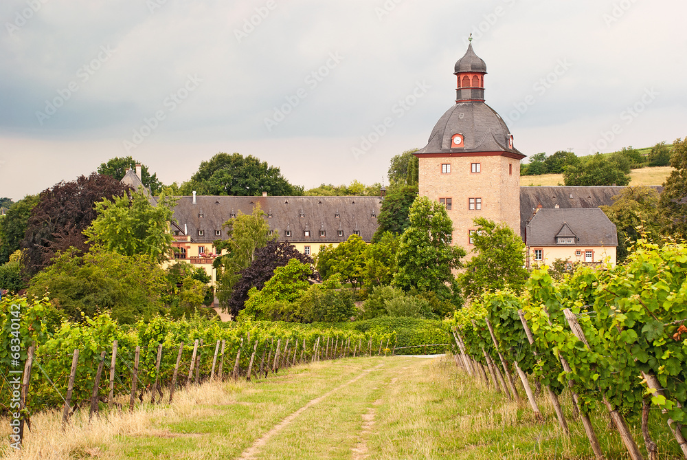 Schloss Vollrads inmitten der Weinberge des Rheingaus