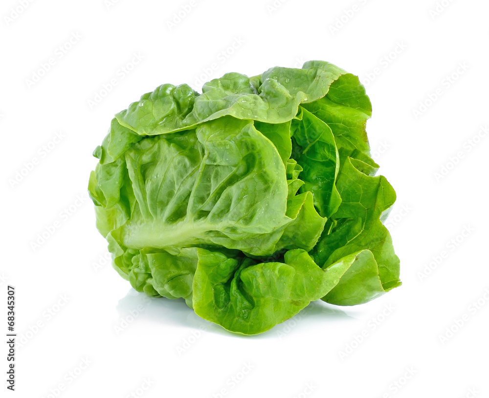 lettuce leaves isolated on white background lettuce leaves isolated on white background