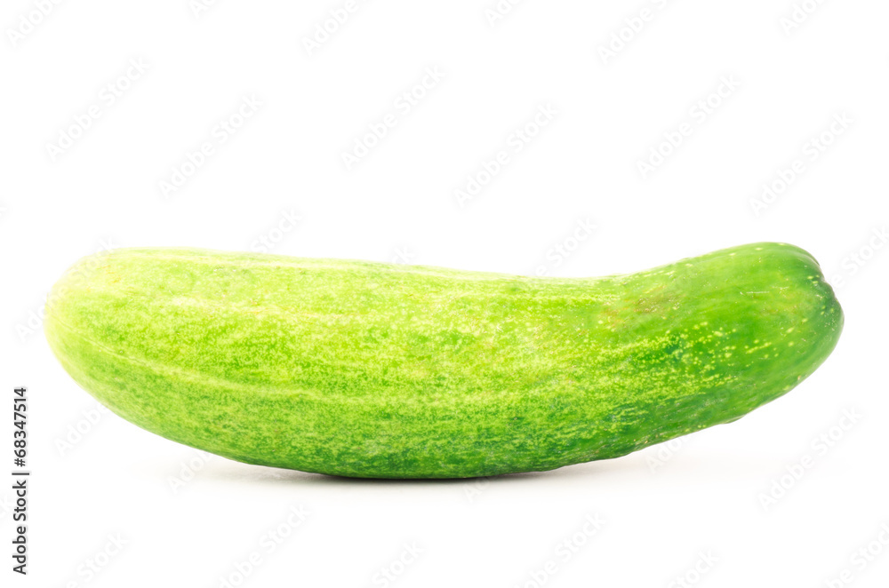Fresh cucumber Fresh cucumber