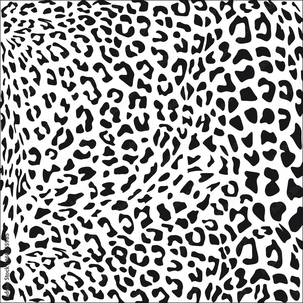 Fototapeta premium Leopardenfell schwarz weiß