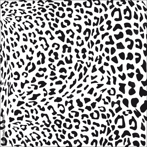 Leopardenfell schwarz weiß