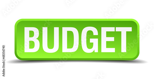 Budget green 3d realistic square isolated button