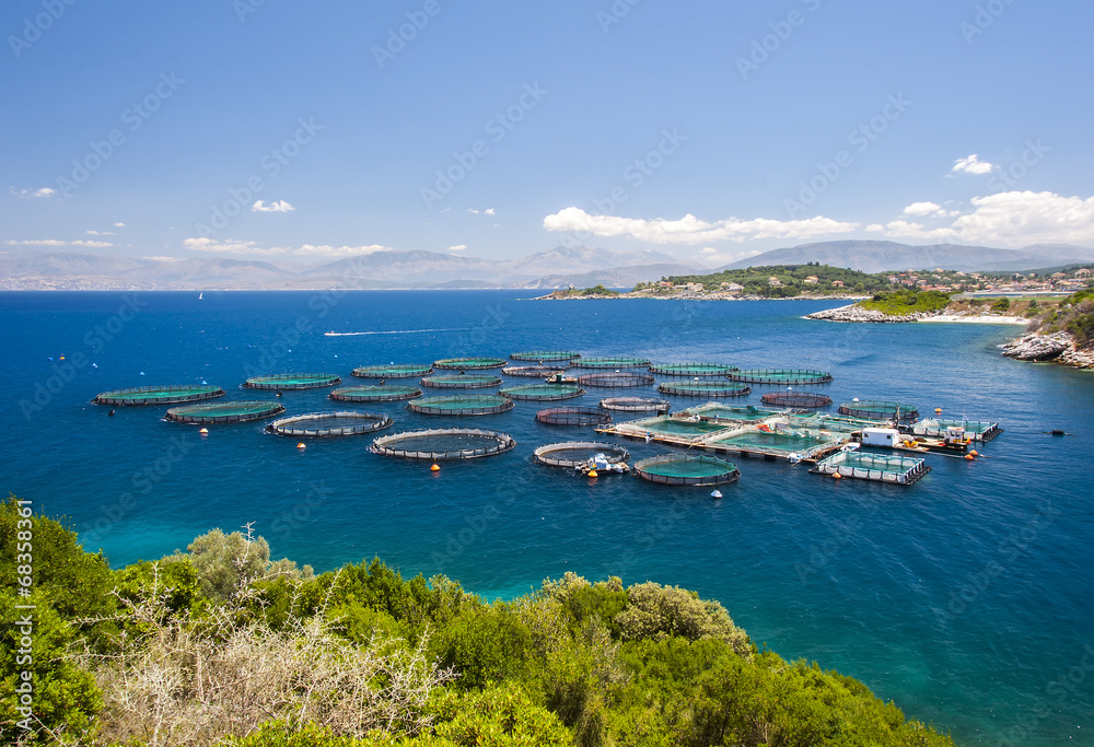 fish farm corfu,greece