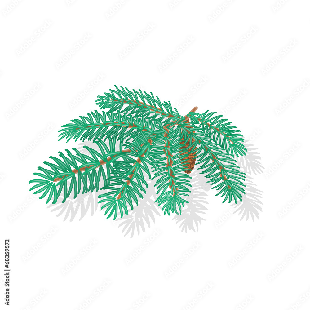 Obraz premium Silver Spruce Christmas tree vector illustration