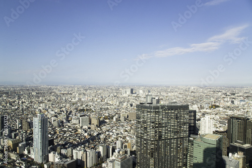 Panorama view of Tokyo in Japan