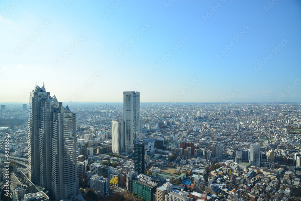 Panorama view of Tokyo in Japan