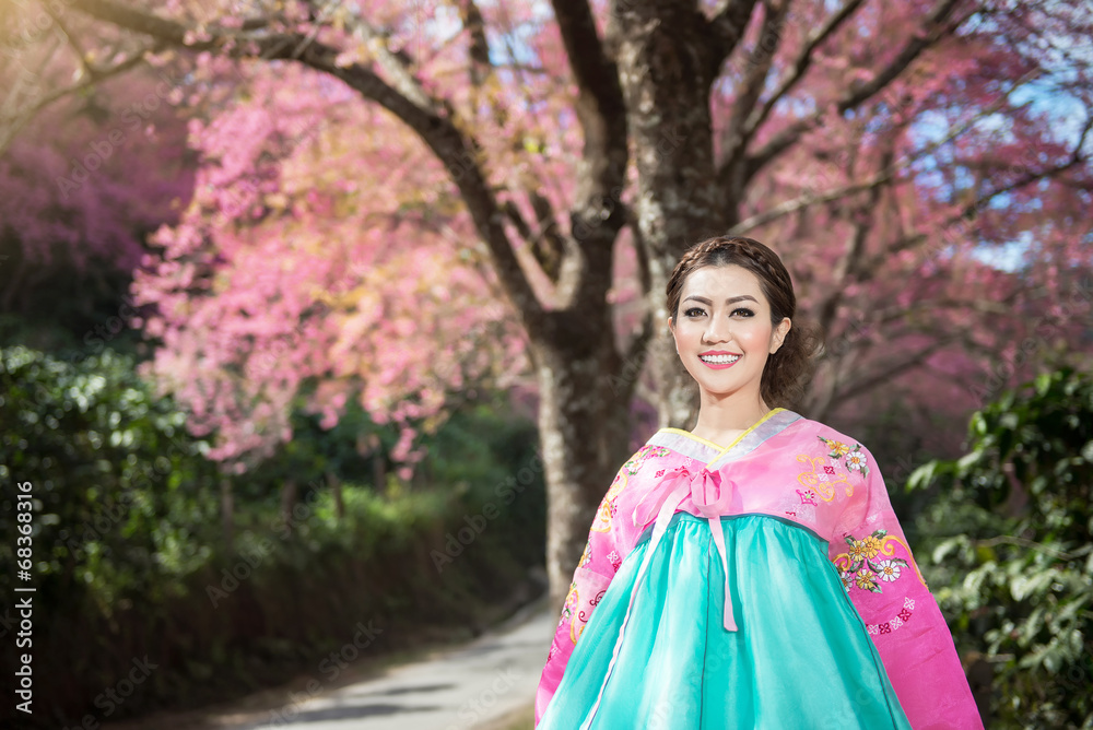 Hanbok: the traditional Korean dress and beautiful Asian girl Hanbok: the traditional Korean dress and beautiful Asian girl