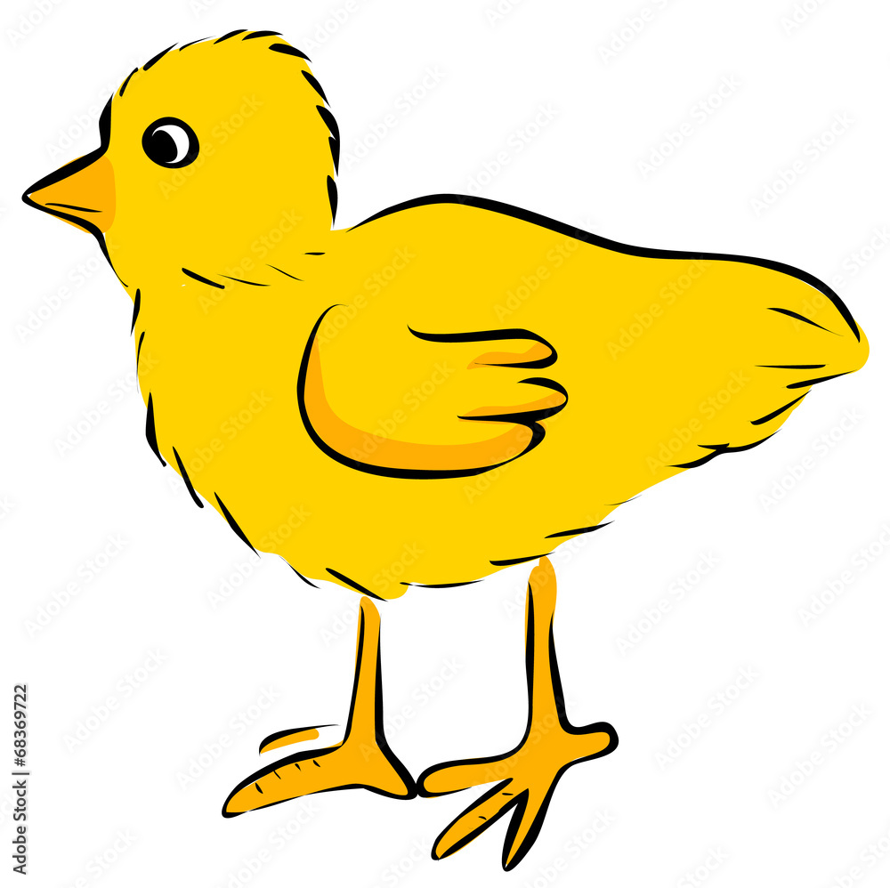chicken chicken