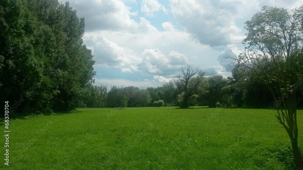 Prairie Prairie
