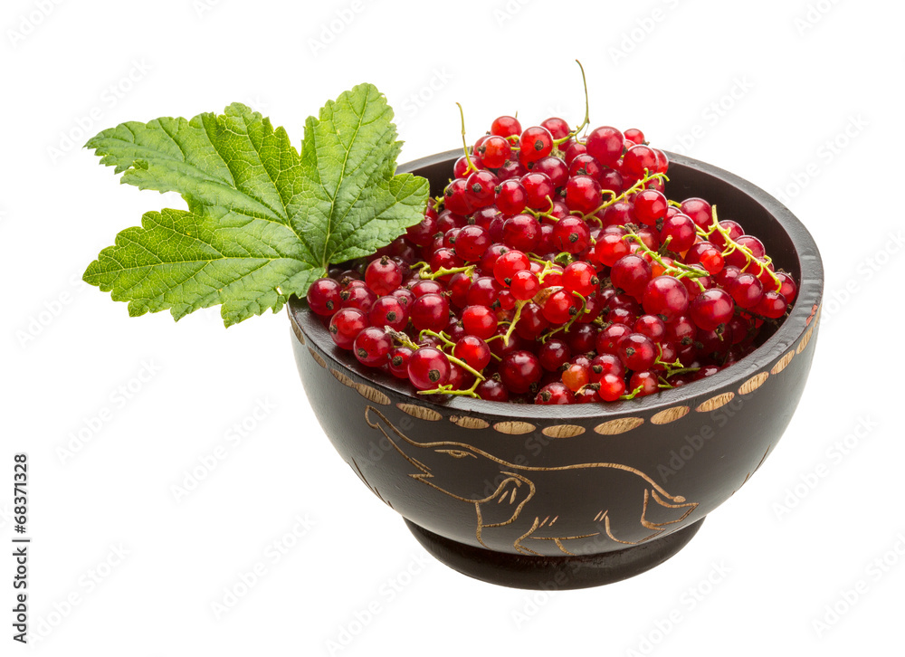 Red currant Red currant