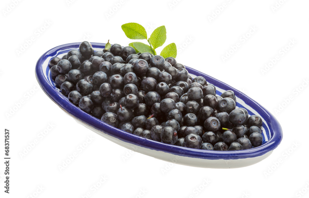 Blueberry Blueberry