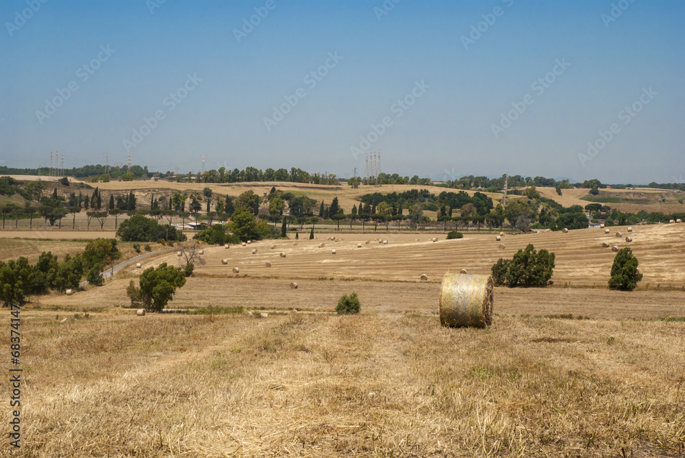 sheaves in the fields of Roman