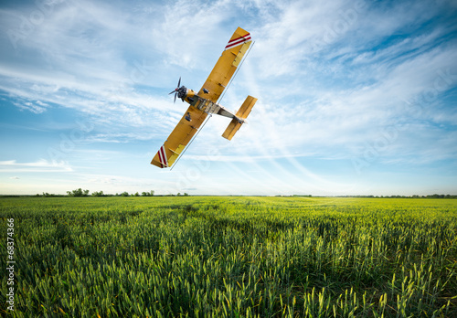 Canvas Print plane sprayed crops in the field