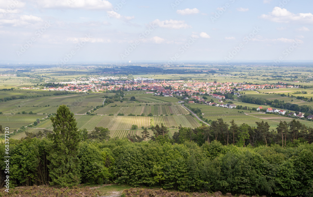 Naklejka premium Pfälzerwald413