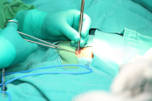 Surgeon hands suturing an hernia photo