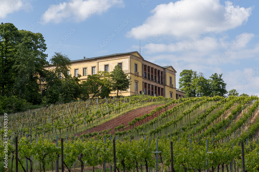 Villa Ludwigshöhe 424