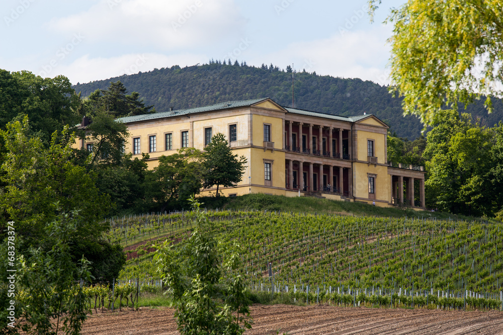 Villa Ludwigshöhe 428