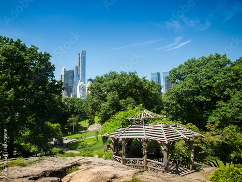 Central Park View