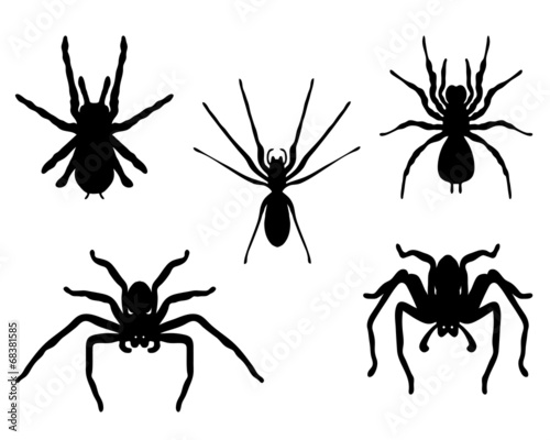Black silhouettes of spiders, vector © NikolaM
