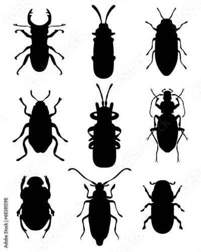 Black silhouettes of bugs, vector