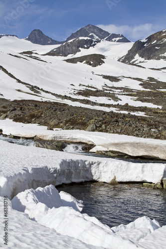 Frühling im Leirdalen photo