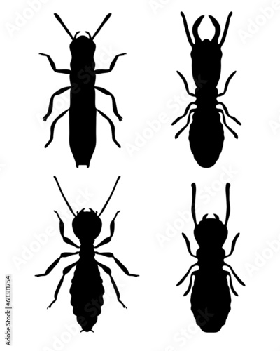 Black silhouettes of termites, vector