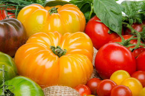 Different varieties of tomatoes