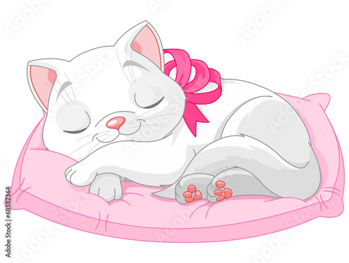 Cute white cat