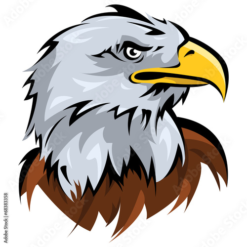 Hawk