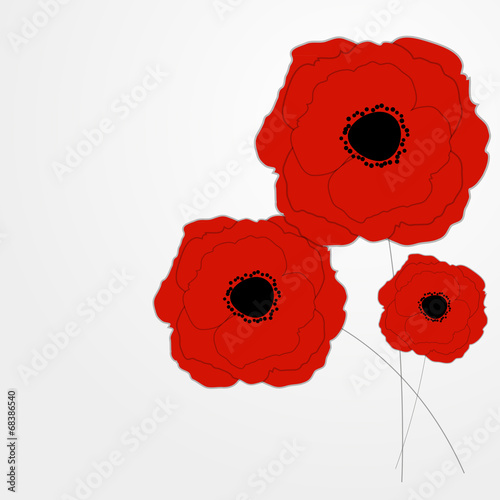 Fototapeta Naklejka Na Ścianę i Meble -  Red Poppies Flower Background Vector Illustration