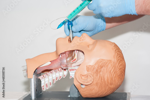 przekrój - intubacja 7