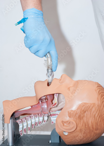 przekrój - intubacja 6