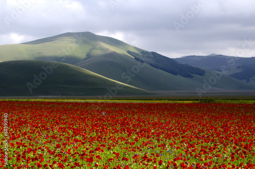 Castelluccio