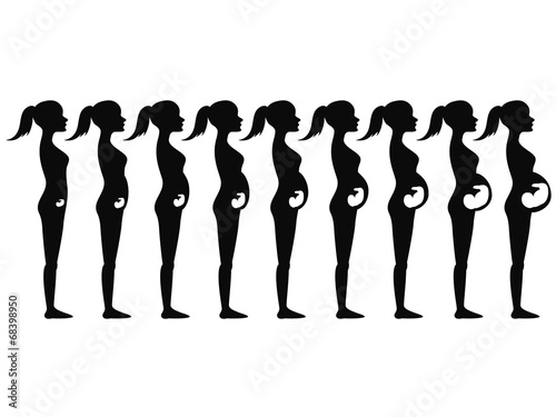 pregnancy stages Silhouette