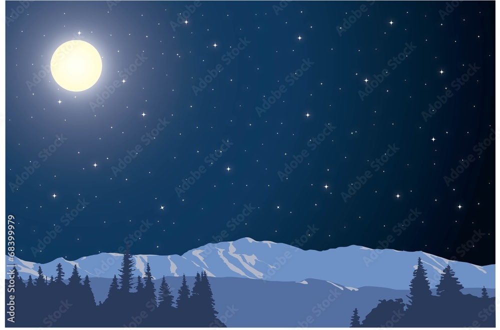 Naklejka premium Winter night landscape