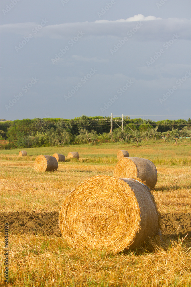 Hay field in Tuscany